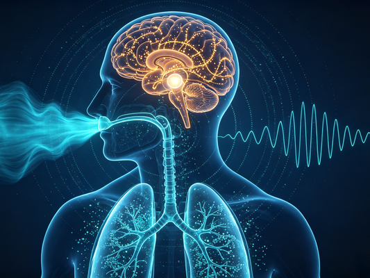 How We Breathe May Affect How Quickly We Remember