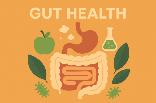 The Importance of Gut Health‌