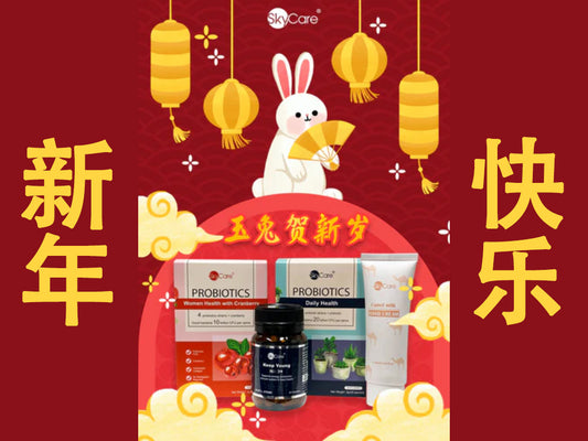 Happy Chinese New Year from SkyCare